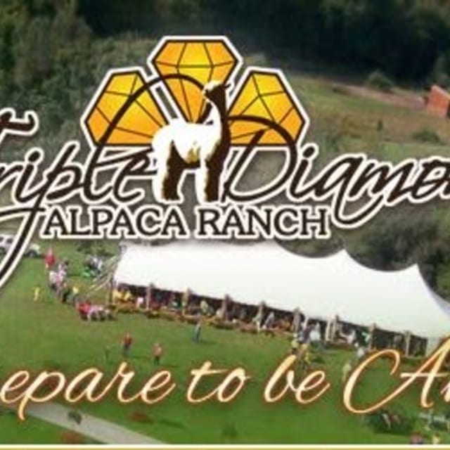 Annual Alpaca Day Expo 2026
